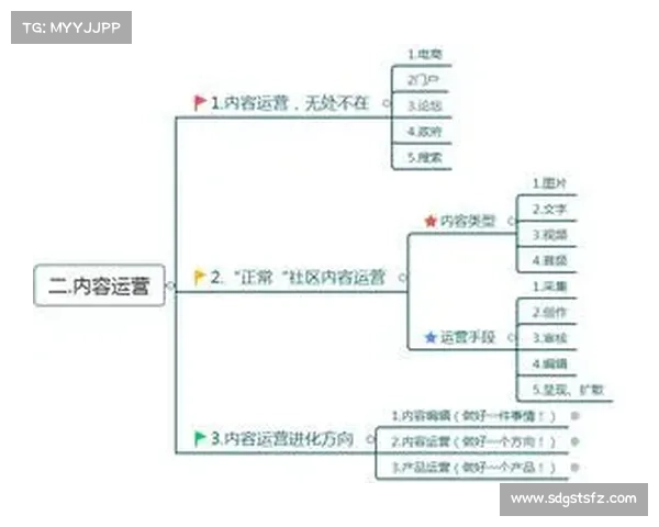 希季尔分析与C罗对抗策略的思路与应对方法